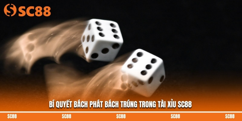 Bí quyết bách phát bách trúng trong tài xỉu SC88