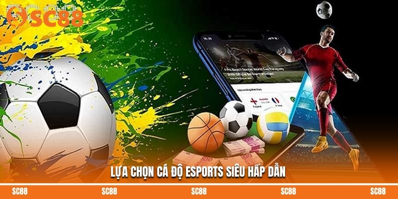 Lựa chọn cá độ eSports siêu hấp dẫn