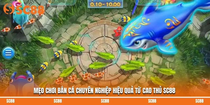 Mẹo Chơi Bắn Cá Chuyên Nghiệp Hiệu Quả Từ Cao Thủ SC88