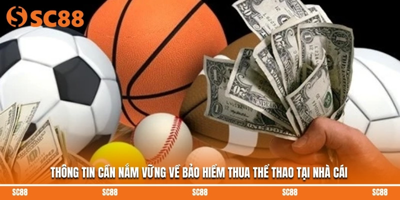 Thông tin cần nắm vững về bảo hiểm thua thể thao tại nhà cái